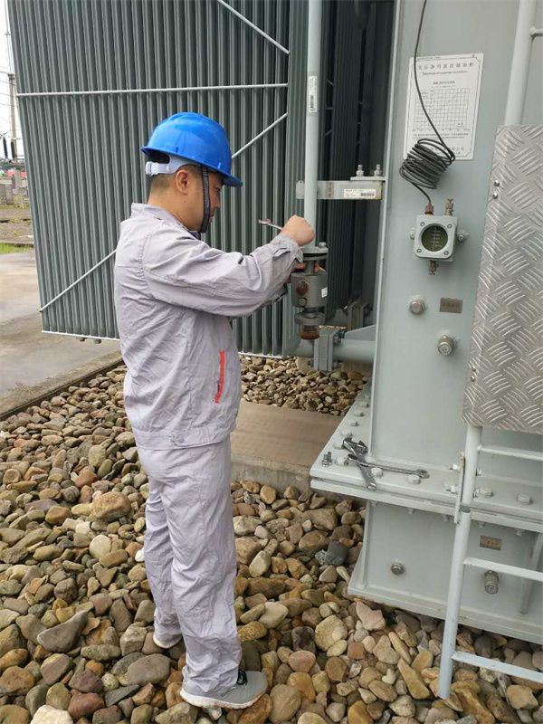 虎圩110KV#2主变(图2)